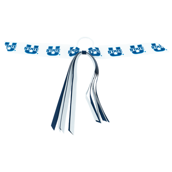 U-State Streamer Bow Ponytail